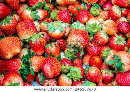 fresh strawberry from strawberry garden - food frame background