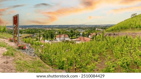 Similar – Foto Bild Das Elbtal bei Bad Schandau mit dem Lilienstein im Hintergrund