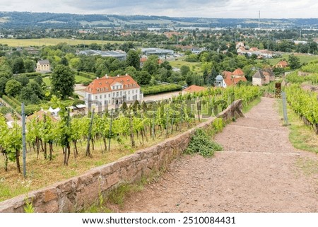 Similar – Foto Bild Das Elbtal bei Bad Schandau mit dem Lilienstein im Hintergrund