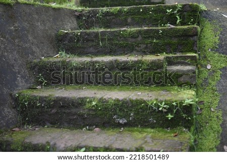 Similar – Foto Bild Treppen, nach oben Moos