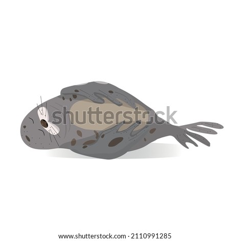 Illustration of lying fur seal, cartoon image, funny animal, vector, isolated character