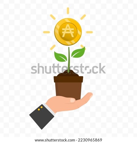 Vector illustration of XArgentine austral X plant icon sign and symbol. colored icons for website design .Simple design on transparent background (PNG).