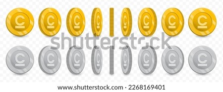 Vector illustration of a collection of Kyrgystani Som currency coins in gold colors and grayscale isolated on transparent background (PNG).