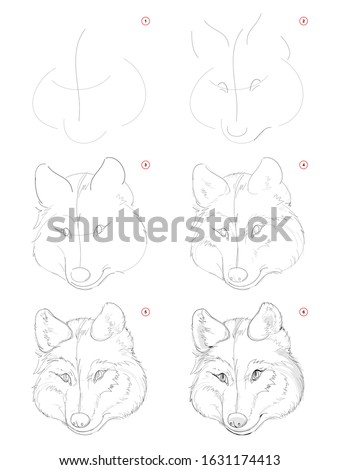 Wolf Drawing Step By Step | Free download on ClipArtMag