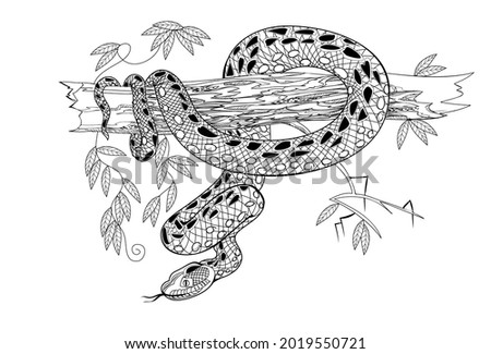 Illustration of a dangerous anaconda snake on tree branch. Black and white page for coloring book. Drawing for print, logo, tattoo, jewelry, decoration. Printable sheet for coloring and meditation.