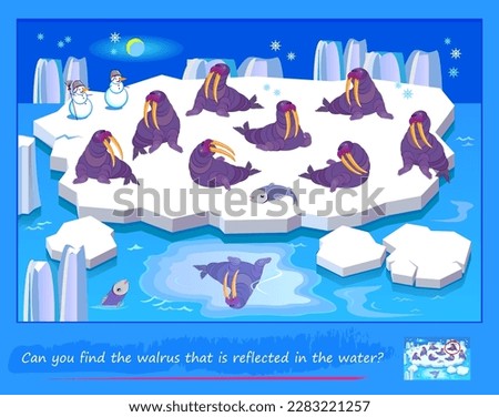Logic puzzle game for children and adults. Can you find the walrus that is reflected in the water? Page for brain teaser book. Developing kids spatial thinking. Task for attentiveness. Vector image.