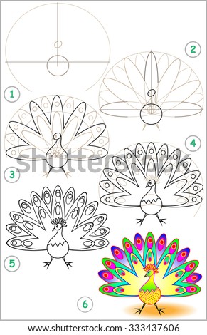 Page Shows How To Learn Step By Step To Draw A Peacock. Developing ...