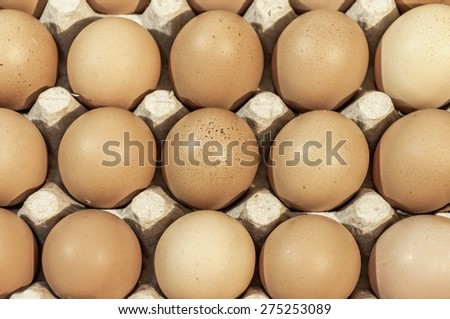 Eggs in carton package ready for backing close up