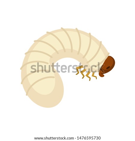 Beetle larva isolated. Bug caterpillar. Maggot vector illustration 
 
