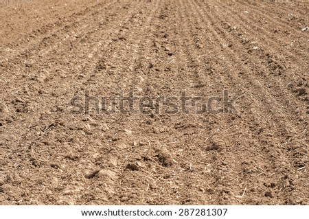 arable land texture
