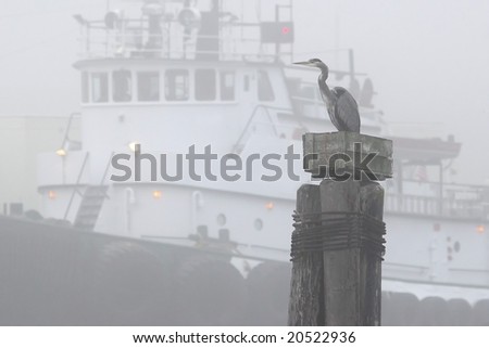 Great Blue Heron and Tug boat in the background.