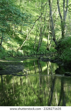 Similar – Image, Stock Photo light Idyll River bank