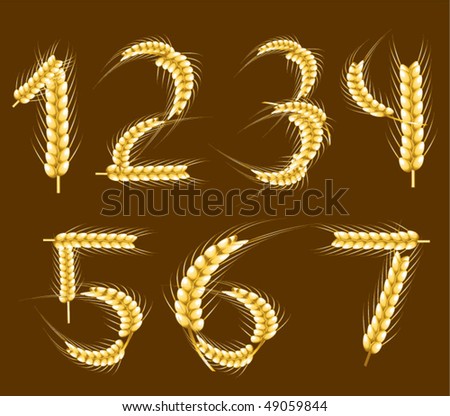 Wheat alphabet. Digits. Vector. Part 7