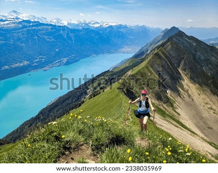 Similar – Image, Stock Photo Interlaken from above