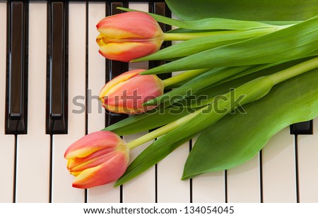 The red tulips on the piano