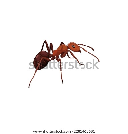 3D ant insect vector, isometric closeup of ant
