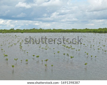 Shutterstock Puzzlepix