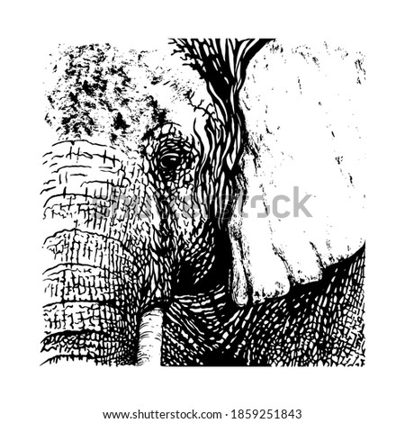 Elephant painted with black ink brush. Vector illustration