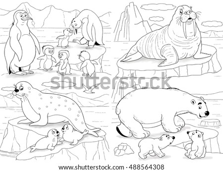 47 Cute Walrus Coloring Pages For Free