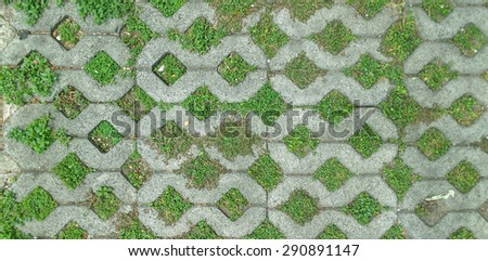 Garden texture