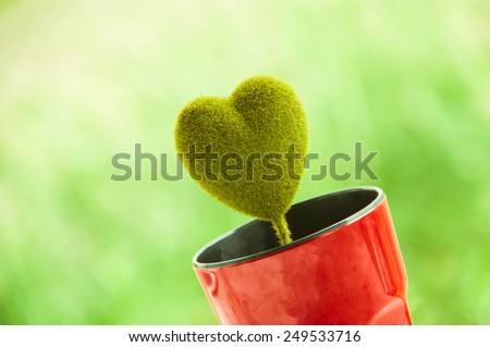 Green heart in the red cup