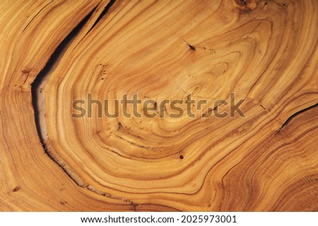 Slab, saw cut wood treated with varnish close-up on a black background. Isolate. Luxury wood for countertops and tables.. Design materials, stylish details for presentation and shop. Concept. ストックフォト © 