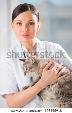 Veterinarian holding a cat at clinic