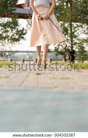 Unrecognizable lady walking with her dog on lead in summer park. View from behind