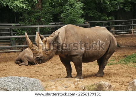 Similar – Image, Stock Photo Large zoo Berlin City