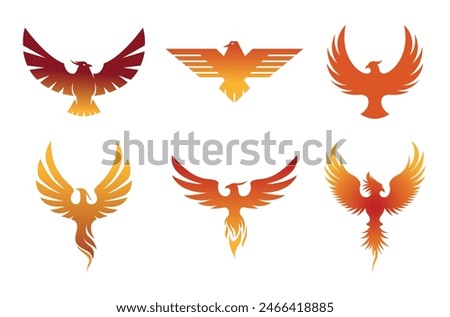 Creative pheonix birds collection logo design symbol vector illustration	
