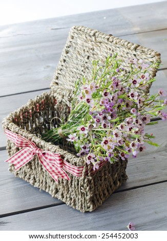 Tiny pink coleonoma flowers, confetti bush. A bunch of flowers in gift basket with red bow