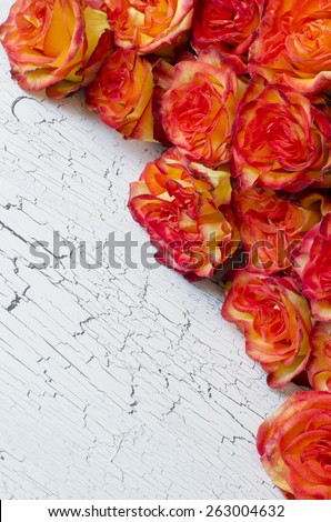 yellow red natural roses background with copy space