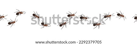 Crawling ants. Bugs marching at wall. Insect workers. Line trail. Termites group row walking to home. Pests in path. Small arthropod animals chain. Vector current isolated illustration