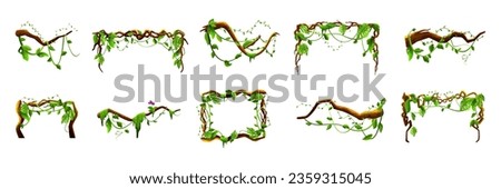 Jungle frames. Green vine. Tree foliage. Rainforest liana. Cartoon plants. Creeper branch. Grass and wood leaf signs. Botany texture. Wild greenery. Vector forest game elements set