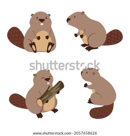 Cute cartoon beavers set. Vector illustration of animals.