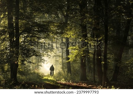 Similar – Image, Stock Photo Cyclist rides through image