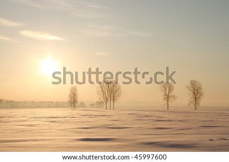 Picturesque sunrise over the trees in the field covered with snow.