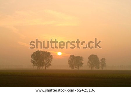 Misty sunrise over the trees in the field. Photo taken in May.