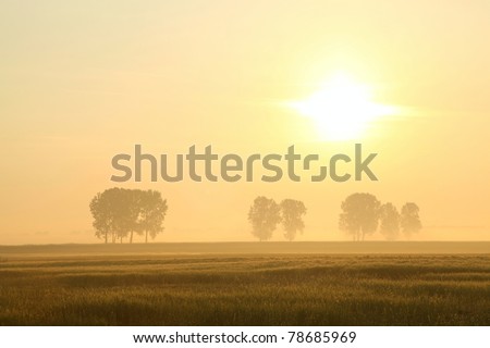 Landscape at sunrise over a field of grain.