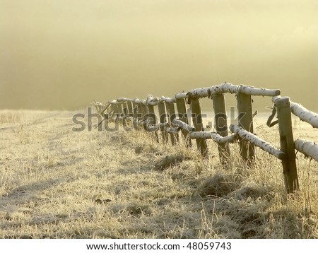 Similar – Foto Bild Pferde auf einer nebligen Wiese