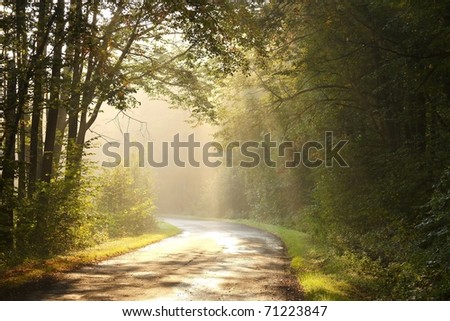 Similar – Image, Stock Photo Country road and path surrounded by fields with barley and rape, two trees standing at the roadside in front of a blue sky with little clouds and sunshine