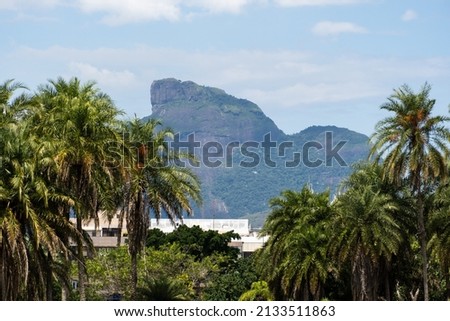 View of Bosque da Barra, located in Barra da Tijuca, Rio de Janeiro. Pedra da Gávea in the background. Forest with pond, nature, green and wild animals. Foto stock © 