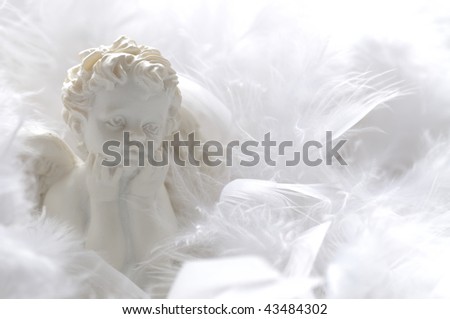 White angel in soft feathers