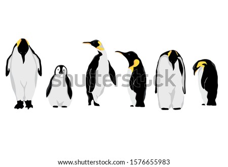 Emperor Penguin Drawing | Free download on ClipArtMag