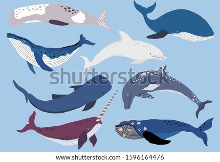 Simple whale character.Vector illustration character doodle cartoon