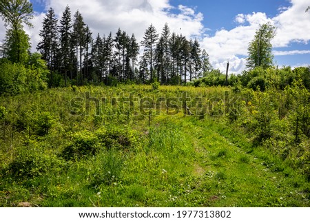 Similar – Image, Stock Photo Summer in Kraichgau warm