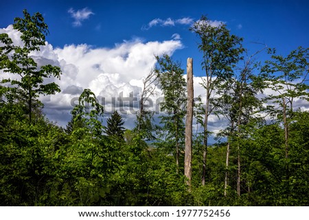 Similar – Image, Stock Photo Summer in Kraichgau warm