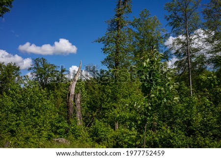 Similar – Image, Stock Photo Summer in Kraichgau warm