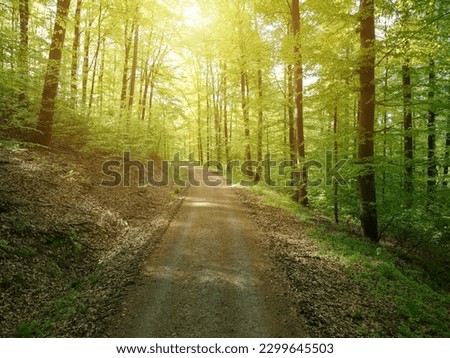 Similar – Image, Stock Photo Summer in Kraichgau warm