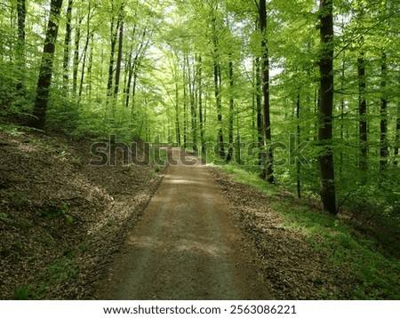 Image, Stock Photo Summer in Kraichgau warm